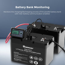 Renogy monitoring screen tracking a parallel lithium battery bank