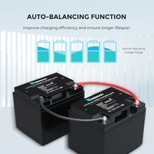 Renogy lithium battery automatic cell balancing