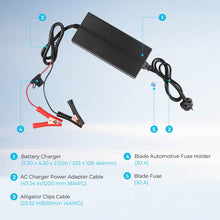 Renogy 20A portable charger connected to a 12V lithium iron phosphate battery