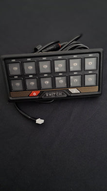 Flex 12-gang Bluetooth switch panel, photo 4