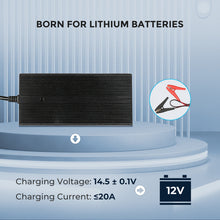 Renogy 20A LiFePO4 charger LED status indicator detail