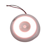 Flex 12V interior LED light, white and red, dimmable, photo 5