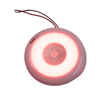 Flex 12V interior LED light, white and red, dimmable, photo 6
