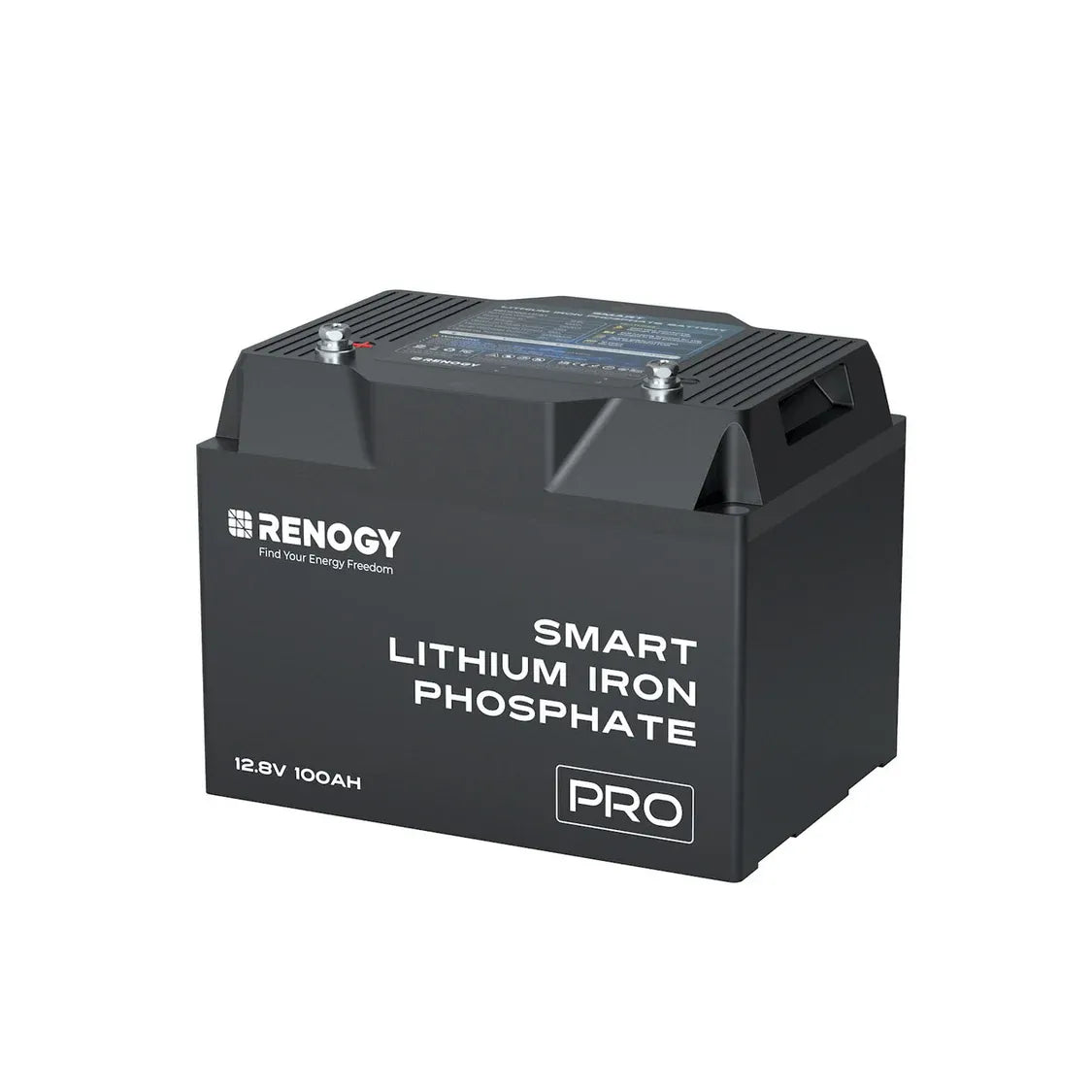 Renogy 12V 100Ah PRO smart LiFePO4 lithium battery with Bluetooth and self-heating — 4Matt Campers Cape Town