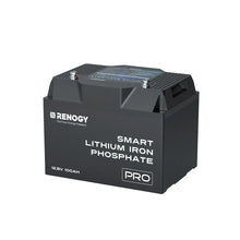 Renogy 12V 100Ah PRO smart LiFePO4 lithium battery with Bluetooth and self-heating — 4Matt Campers Cape Town