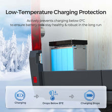 Renogy 12V 100Ah Core Mini Lithium Battery — low-temperature charging protection
