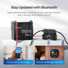 Renogy 12V 100Ah Core Mini Lithium Battery — Bluetooth monitoring via DC Home or Renogy ONE