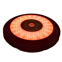 Flex 12V interior LED light, white and red, dimmable, photo 3