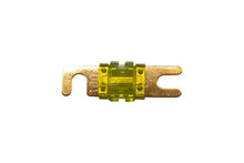 Desert 100A Fuse — Pack of 5 — view 2