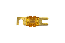 Desert 40A Fuse — Pack of 5 — view 2
