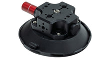Desert Suction Cup